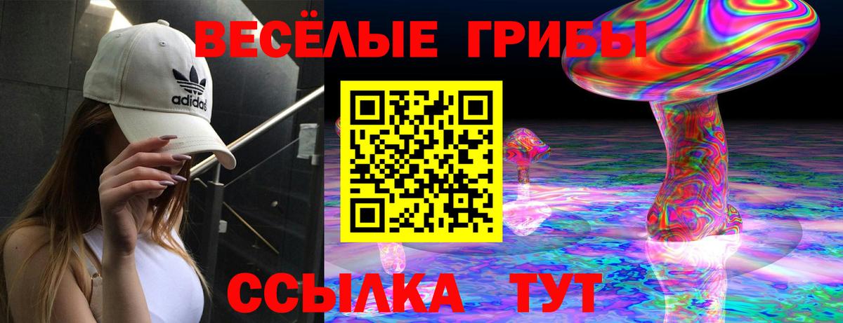 Псилоцибиновые грибы MAGIC MUSHROOMS  Вход с VPN  Дедовск 